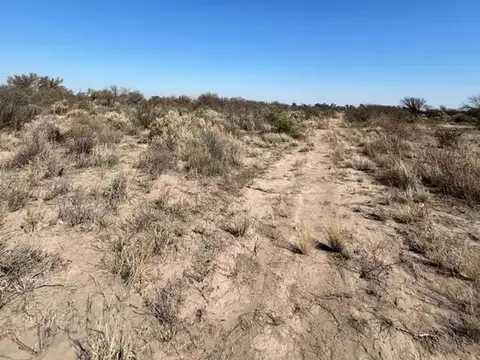 Terreno en Venta en La Paz, Mendoza
