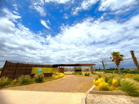 Terreno en Venta en Algarrobo Grande, Junín