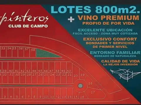 Terreno en Venta en Las Paredes, San Rafael
