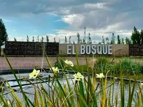 Terreno en Venta en Rodeo del Medio, Maipú