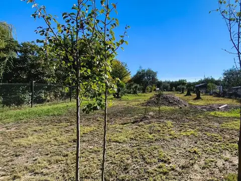 Terreno en Venta en Coquimbito, Maipú