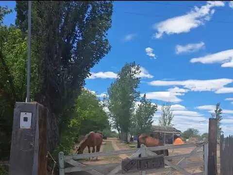 Campo en Venta en La Dormida, Santa Rosa