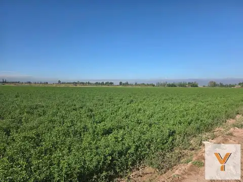 Campo en Venta en Asunción, Lavalle