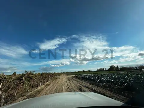 Campo en Venta en Chapanay, San Martín