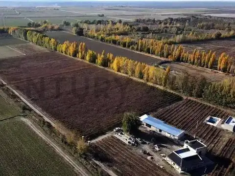 Campo en Venta en Chilecito, San Carlos