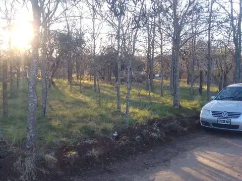 Terreno en Venta en Santa Rosa de Calamuchita, Calamuchita