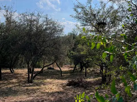 Terreno en Venta en El Manzano, Colón