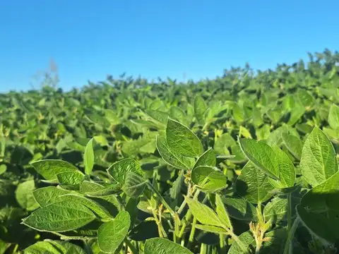 Campo en Venta en Arocena, San Jerónimo