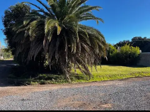 Terreno en Venta en Funes, Rosario