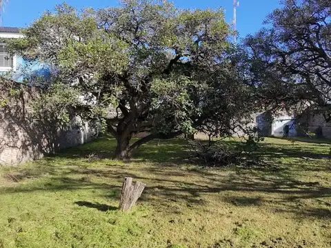 Terreno en Venta en Jorge Cura, Rosario
