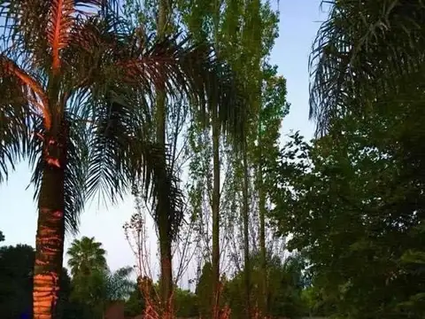 Casa en Alquiler en El Trébol, La Union