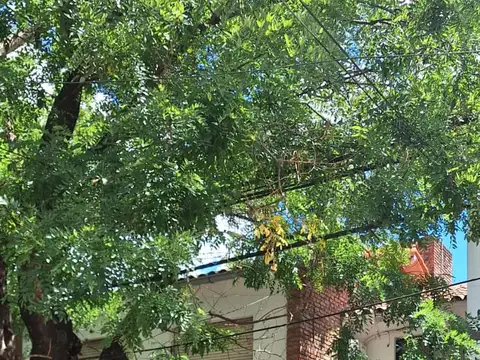 Casa en Alquiler en Martinez, Partido de San Isidro