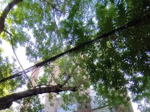 Departamento en Alquiler en La Plata, Partido de La Plata