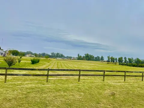 Campo en Venta en Alejandro Petion, Partido de Cañuelas