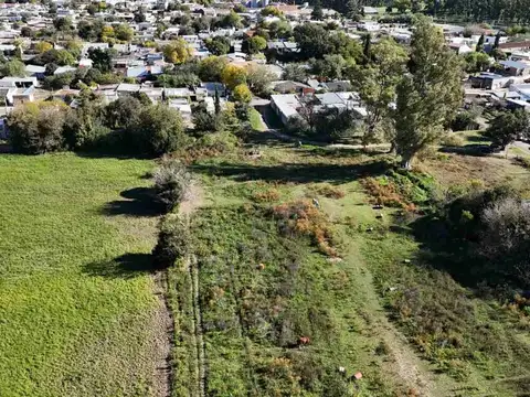 Campo en Venta en General Rojo, Partido de San Nicolás