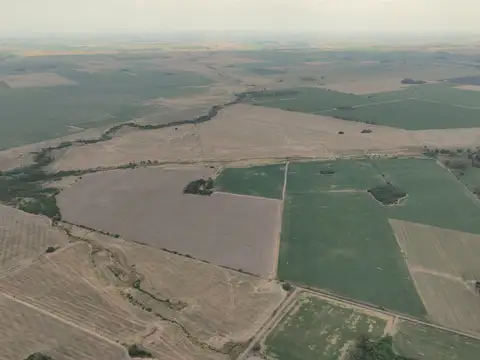 Campo en Venta en San Pedro, Partido de San Pedro