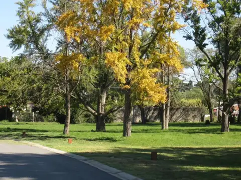 Terreno en Venta en Paso del Rey, Partido de Moreno