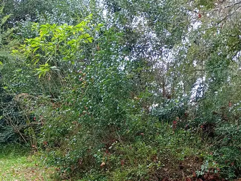 Terreno en Venta en Delta del Tigre, Partido de Tigre