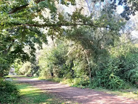 Terreno en Venta en Coronel Brandsen, Partido de Brandsen