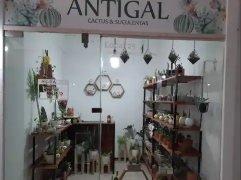 Local en Venta en Haedo, Partido de Morón