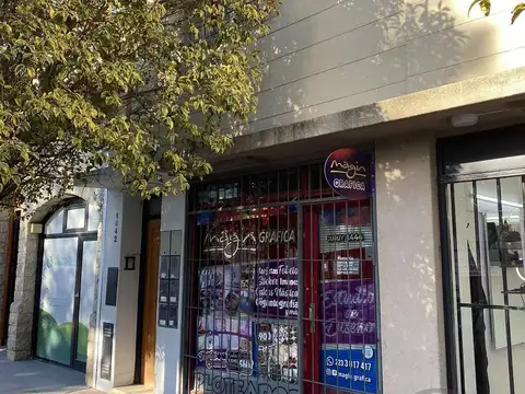 Local en Venta en Mar del Plata, Partido de General Pueyrredón