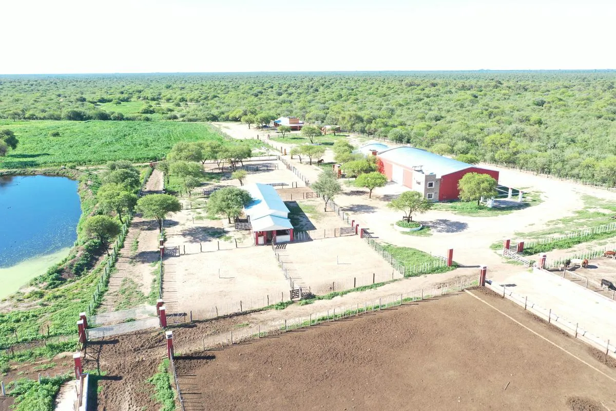 Campo Feedlot en Venta Villa de Soto