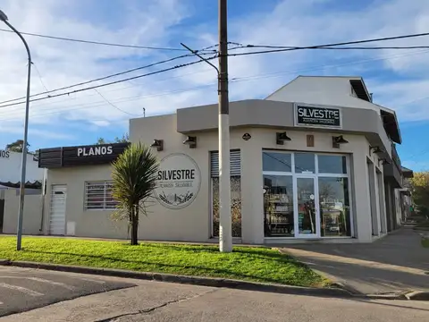 Local en Venta en Mar del Plata, Partido de General Pueyrredón