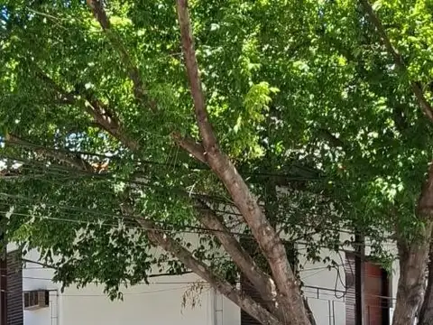Local en Venta en Olivos, Partido de Vicente López