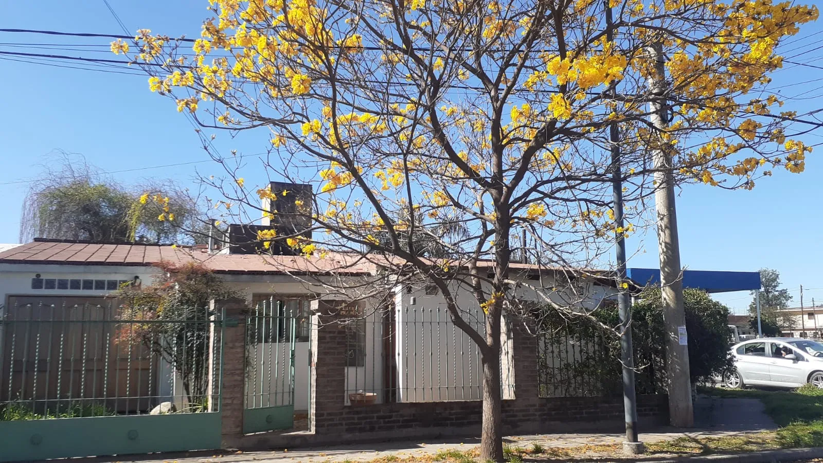 B°mques (A) - 2d, L/c, Coc, Bño, Ptio, Asad, Gje + Dto 1dor - Usd 59.