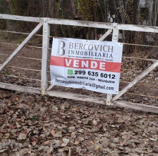 Campo · 50000m²
