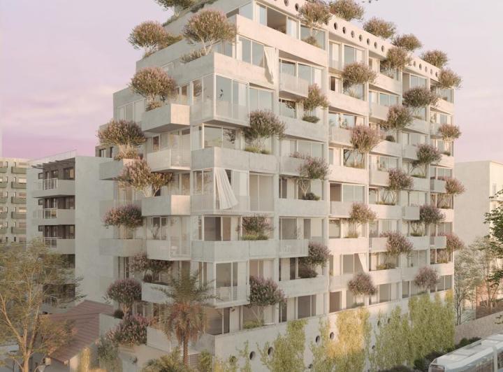Desarrollo vertical