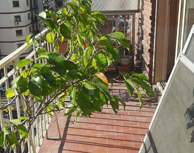Departamento · 73m² · 3 Ambientes · 1 Cochera
