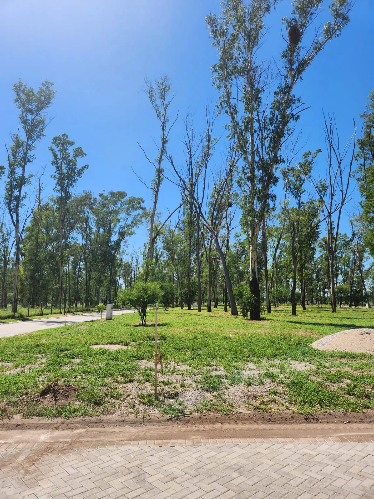 Terreno en Venta  Nuevo Malagueño