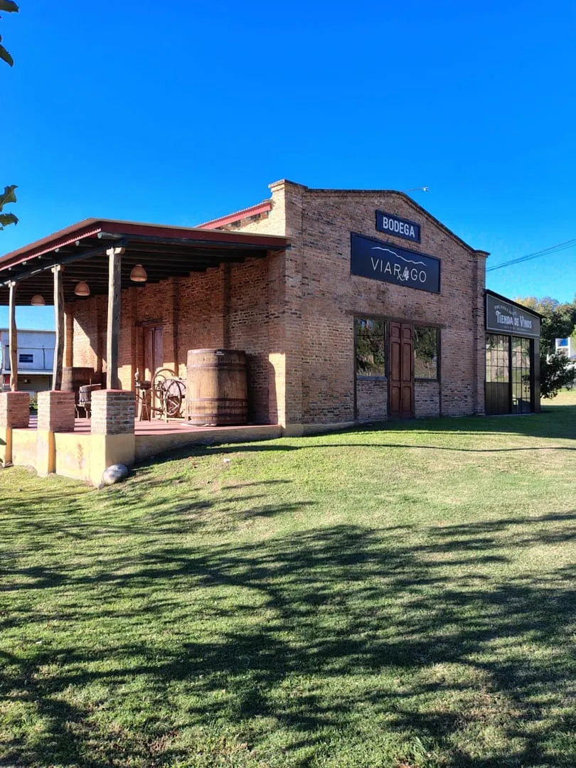 VENTA LOCAL COMERCIAL CON VIÑEDOS