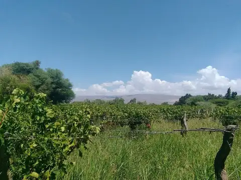Terreno en Venta en Fiambala, Tinogasta