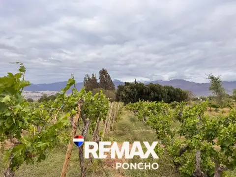 Terreno en Venta en Fiambala, Tinogasta
