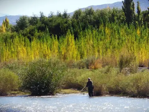 Campo en Venta en Villa Nueva, Calingasta