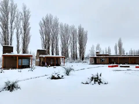 Casa en Venta en Barreal, Calingasta
