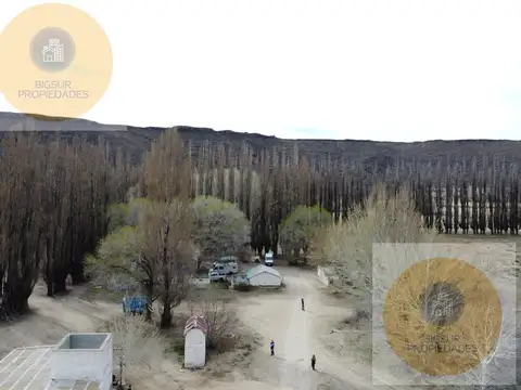 Campo en Venta en Comallo, Pilcaniyeu