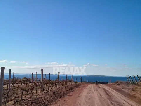Terreno en Venta en Mari Menuco, Confluencia