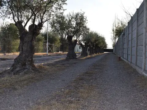 Terreno en Venta en Cruz de Piedra, Maipú