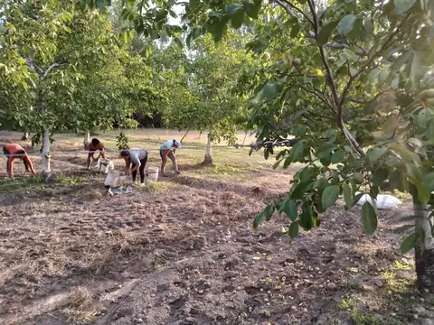 Campo en Venta en Colonia las Rosas, Tunuyán