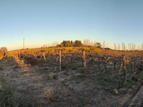 Campo en Venta en La Dormida, Santa Rosa