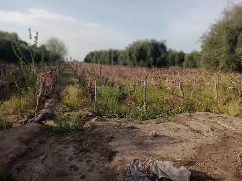 Campo en Venta en Rodeo del Medio, Maipú