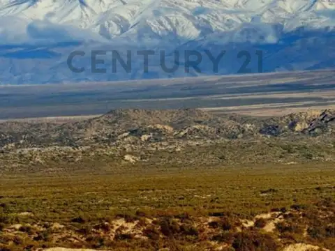 Campo en Venta en Gualtallary, Tupungato