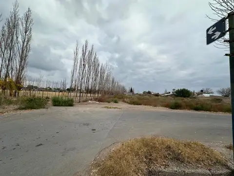 Terreno en Venta en Rivadavia, Mendoza