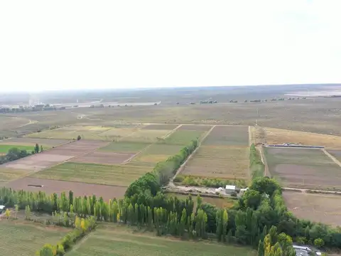 Campo en Venta en Pareditas, San Carlos