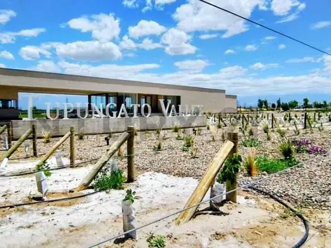 Terreno en Venta en Tupungato, Mendoza