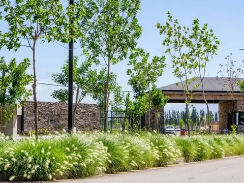 Terreno en Venta en Vistalba, Luján de Cuyo