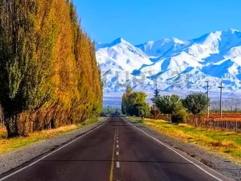 Terreno en Venta en Tupungato, Mendoza